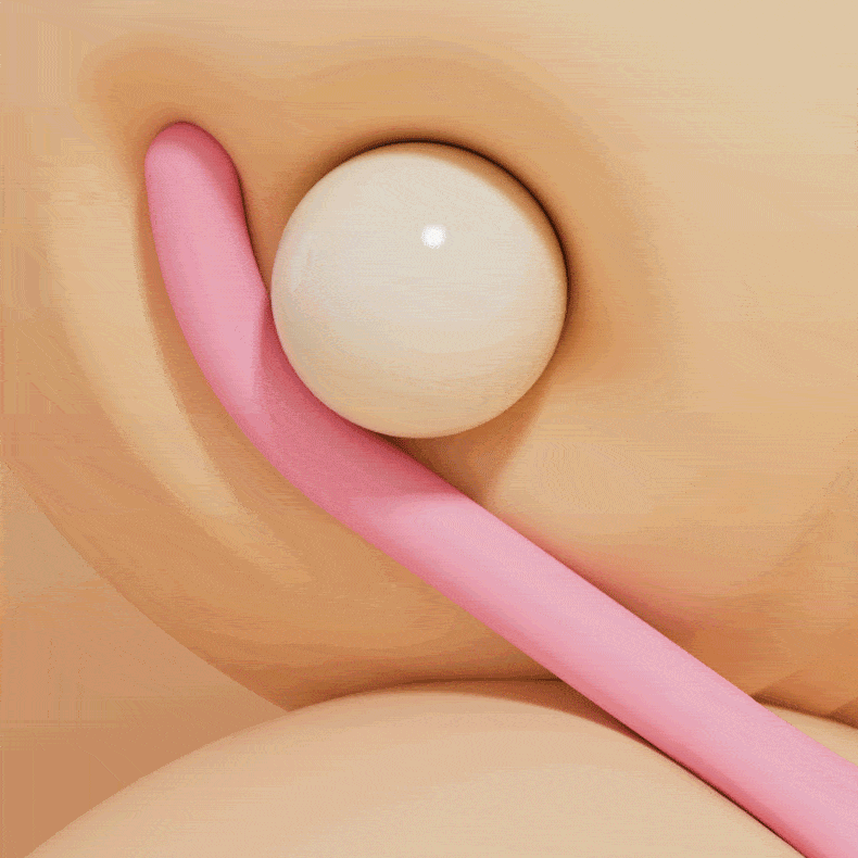 Vibromasseur point G Gamora