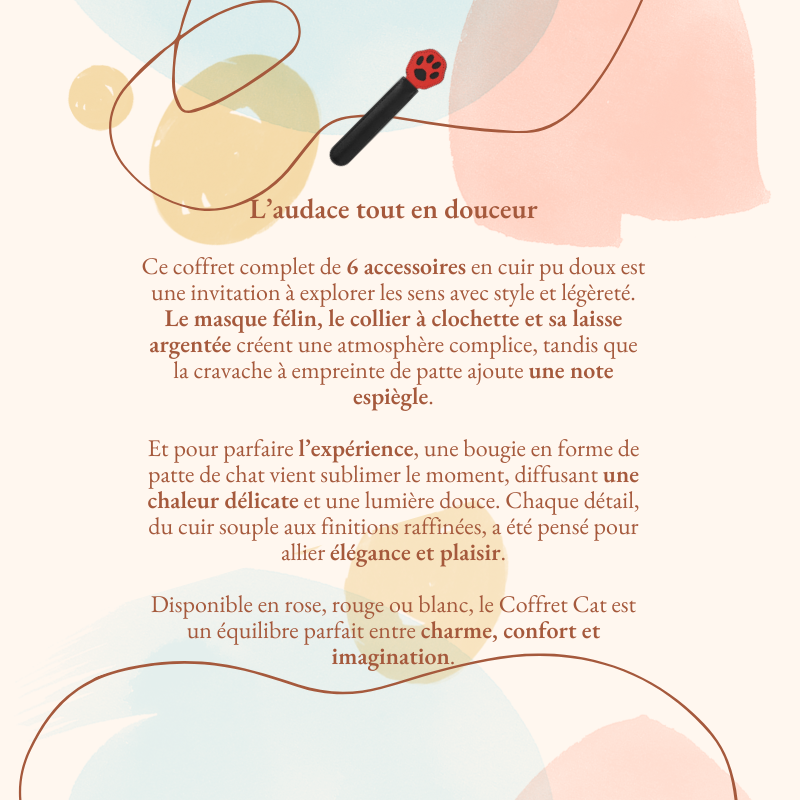 Coffret BDSM bondage débutant·es 6 accessoires cat