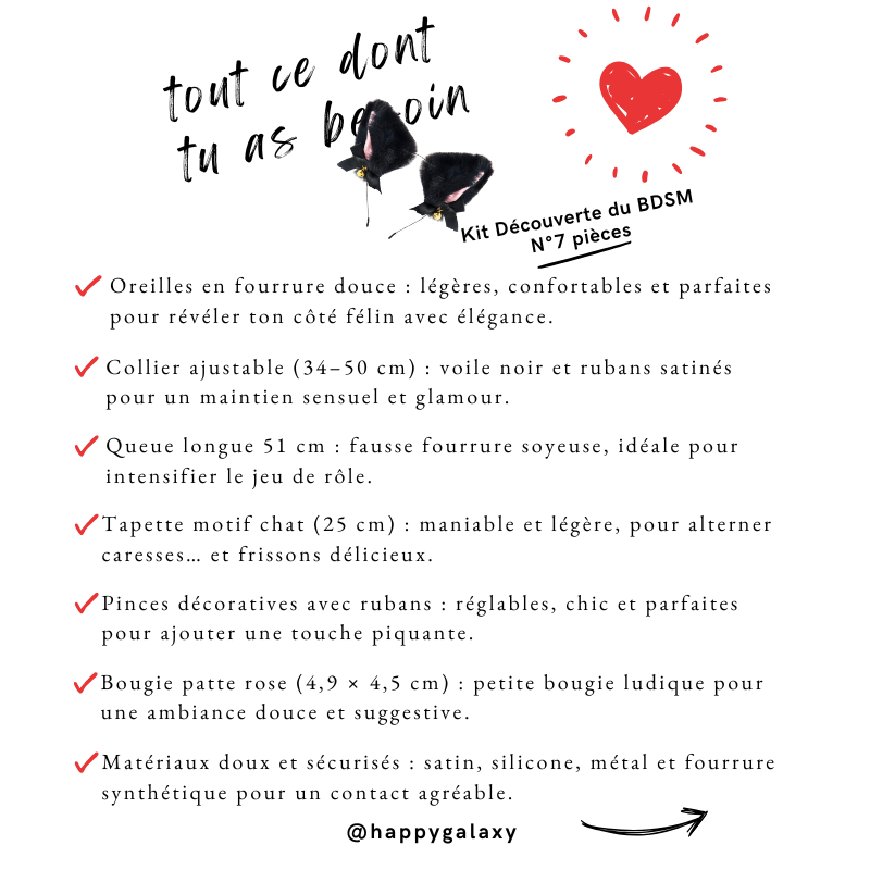 Kit Découverte du BDSM N°7 pièces