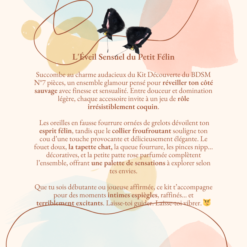 Kit Découverte du BDSM N°7 pièces